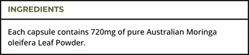 Turmeric Australia Moringa Ingredients Label Ingredients label for Turmeric Australia Moringa Capsules showing Moringa oleifera leaf powder details.